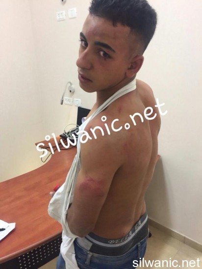 12167727_10153067924837466_622889670_n