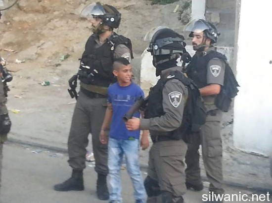 12168120_10153079764822466_473437275_n