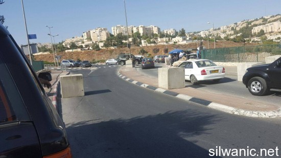 12168254_10153070884147466_518030655_o