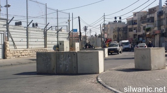 12169574_10153070882042466_453303666_o