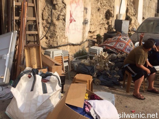 12170440_10153077191692466_1246700826_n