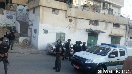 12176023_10153079764757466_562896870_o