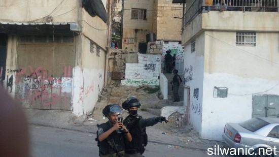 12176140_10153079764632466_845305525_o