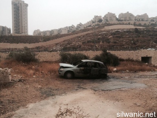 12179048_10153085493447466_196569509_n