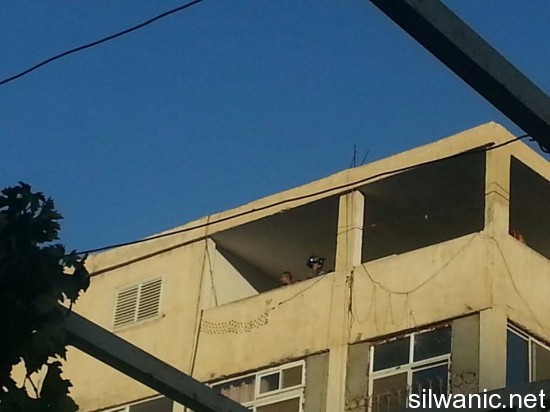 12180038_10153079765097466_504807705_n