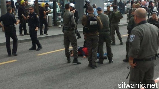 12188877_10153092749677466_1923435687_n