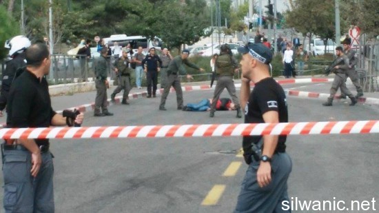 12200813_10153092749642466_1412296821_n