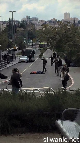 12202141_10153092749657466_456729597_n