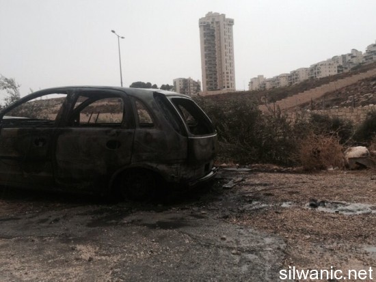 804519_10153085493382466_1793971464_n (1)