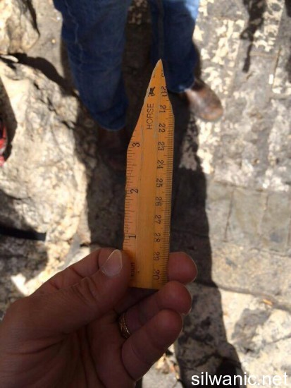 مسطرة خشبية