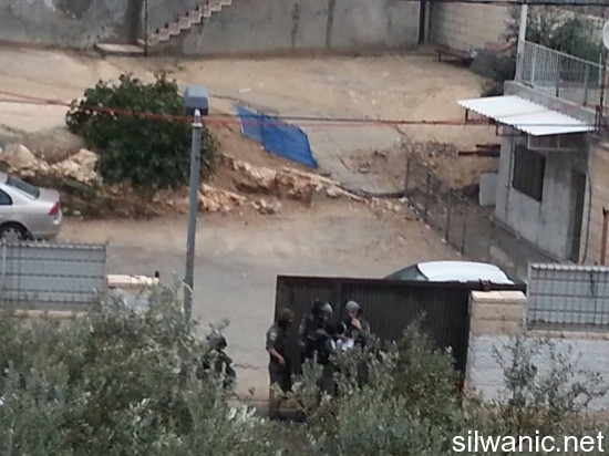 12200538_10153103359432466_22876192_n