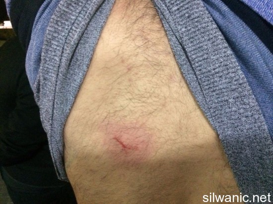 12200935_10153096464997466_336055010_n