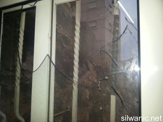 12201016_10153103359202466_1366768498_n