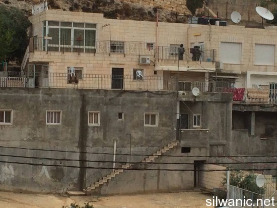 12207754_10153103359162466_547989564_n