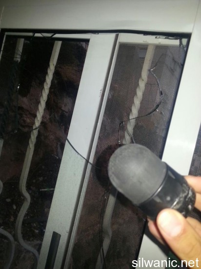 12226538_10153103359112466_29504763_n