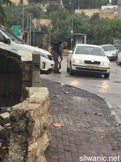 12231198_10153105128357466_2024960212_n