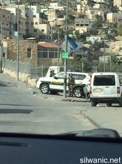 12312040_10153139582352466_93563834_n