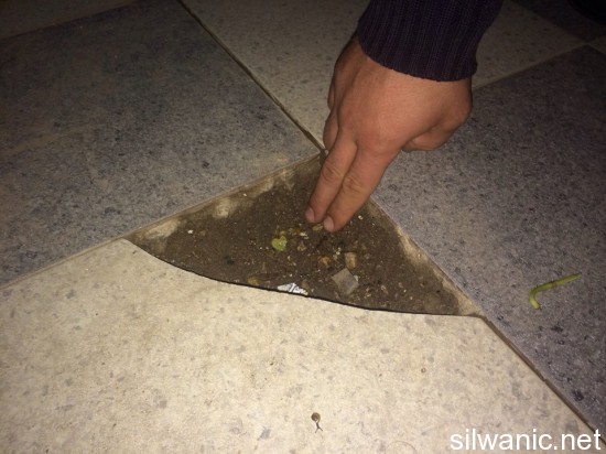 12366905_10153163696892466_2011980084_n