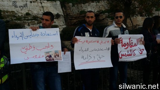 12434954_10153185037642466_31582605_o