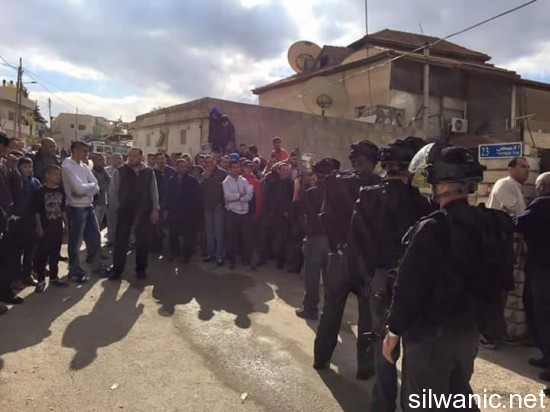 12435950_10153184639002466_1419311565_n