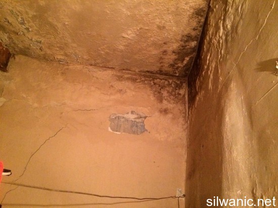 تشققات وادي حلوة