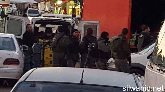 12467694_10153201197622466_701451668_n