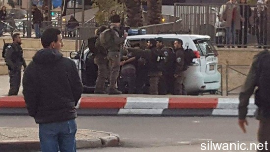 12483346_10153201197672466_1838626397_n