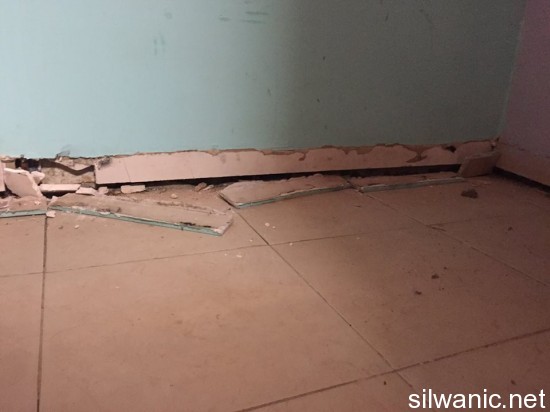 12498611_10153210737392466_1313787652_n