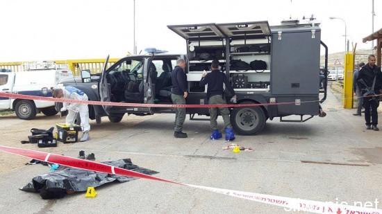 12499529_10156360921620462_808526986_o