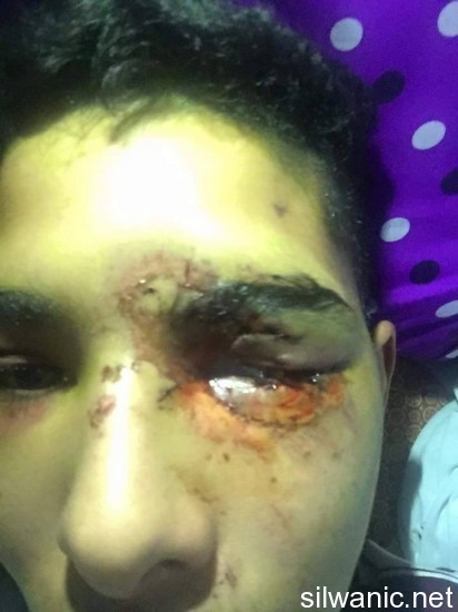 12506943_10153214348642466_243884495_n