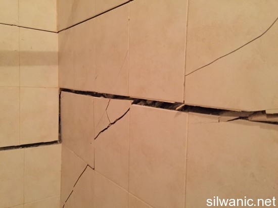 12506951_10153210737462466_1043561043_n