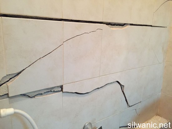 12511641_10153210737512466_619684157_n