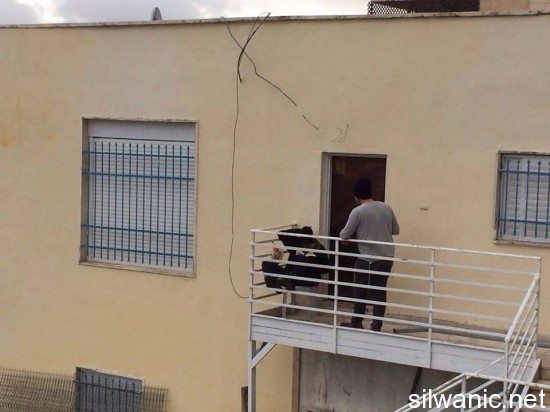 12570922_10153229788052466_1762162729_n