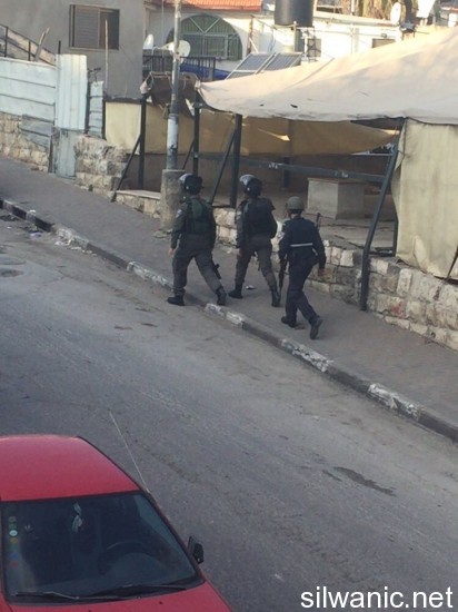 12570968_10153218434432466_1000755565_n