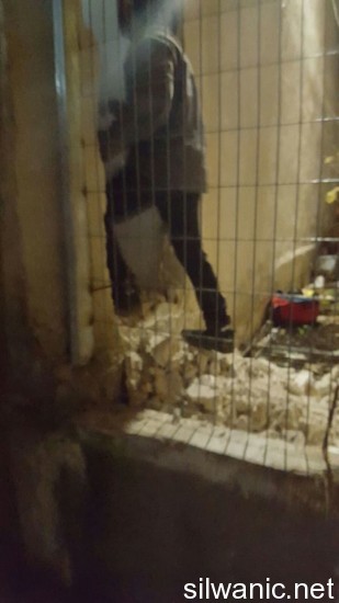 12575959_10153229698532466_790711271_n