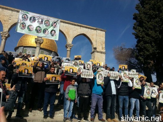 12576165_10153233464352466_1351947197_n