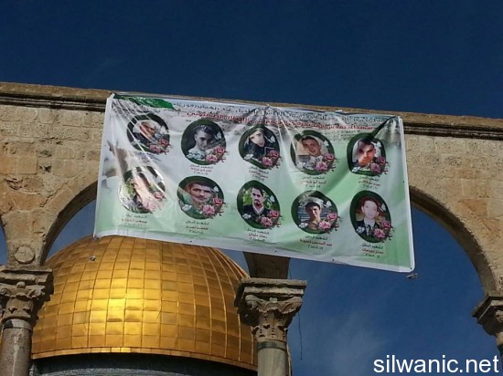 12583822_10153233464262466_1309147946_n