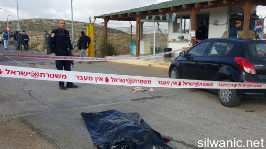 12620329_10153264086407233_790648124_o