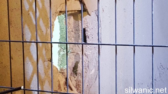 12620662_10153229698572466_2069383150_o