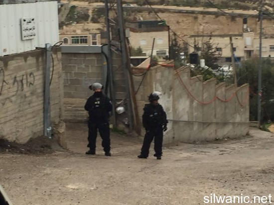 12625715_10153229698342466_1031629301_n