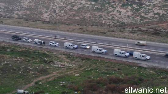 شارع معالي ادوميم