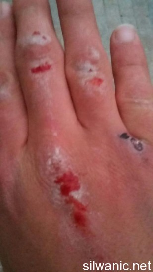 12325095_10153283007537466_2007855060_n