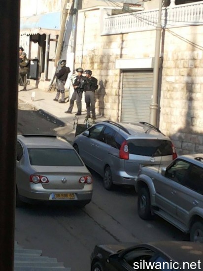 12695886_10153268934972466_277885750_n