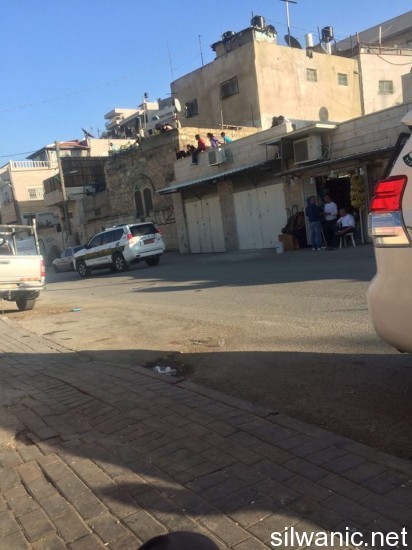 حوش ابو تايه 2