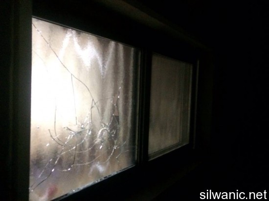 12822029_10153310302322466_307197611_n