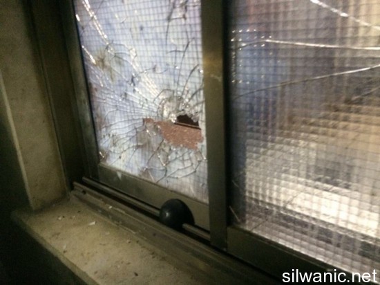 12834852_10153310302437466_134991968_n